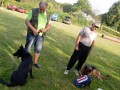 Praktičen prikaz šolanja psov