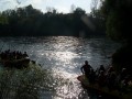 Kostanjev spust po reki Muri