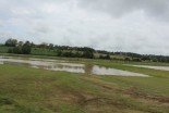 Poplavljen travnik