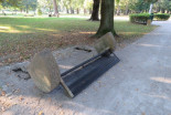 Prevrnjene klopi v parku