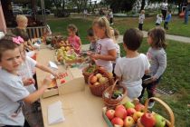 Tetka jesen in tržnica sadja