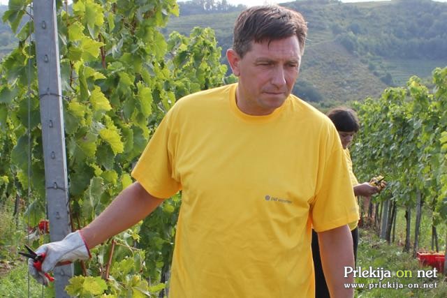 Borut Pahor med prleškimi vinogradi