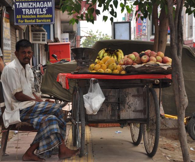PRODAJALEC SADJA DELHI Indija PRODAJALEC SADJA DELHI Indija