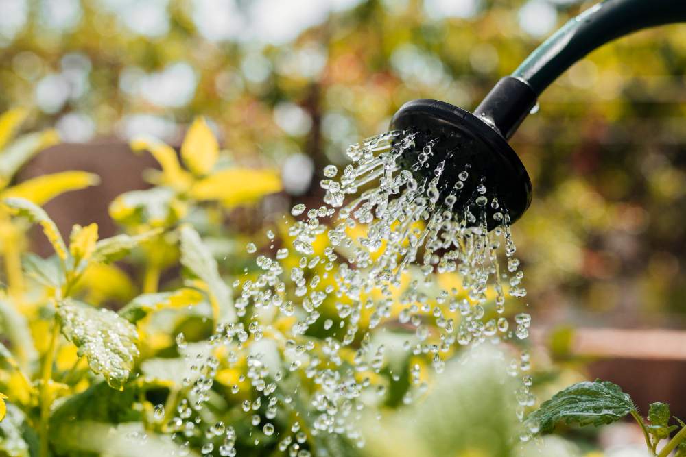Namakalni sistem za zalivanje vrta
