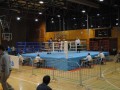 24. državno prvenstvo v boksu