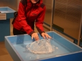 Ledeniški muzej v Hofnu z ledom iz ledenika, ki se topi zelo počasi 