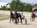 Kasaške dirke v Ljutomeru