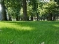 Park3