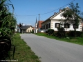 ŠALINCI