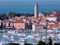 Izola