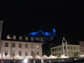 Ljubljanski grad