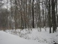 Sneg na Kamenščaku
