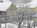 Snežna ploha v Ljutomeru
