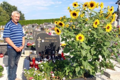 Sončnice na grobu