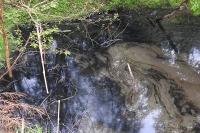 Onesnaženje Gibinskega potoka