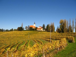 Vinska cesta Jeruzalem