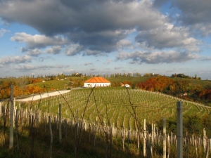 Zidanica Malek in Jeruzalem