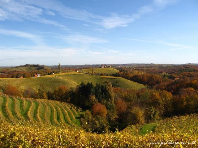 Prleški vinogradi