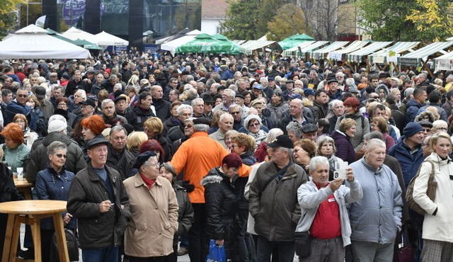 33. Martinovanje v Mariboru, foto: MP Produkcija 33. Martinovanje v Mariboru, foto: MP Produkcija