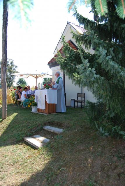 15 let kapele v Šalincih