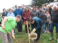 Sajenje dreves na OŠ Cvetka Golarja Ljutomer