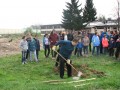 Sajenje dreves na OŠ Cvetka Golarja Ljutomer