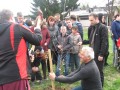 Sajenje dreves na OŠ Cvetka Golarja Ljutomer