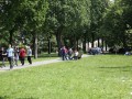 Druženje maturantov v parku