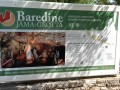 Kraška jama Baredine