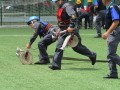 Državno tekmovanje gasilk in gasilcev v Kopru