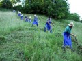 Grajska košnja v Negovi