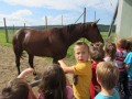 Otroci pri Turistični kmetiji Vrbnjak