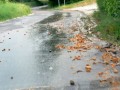 Neurje v Prlekiji