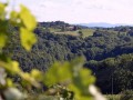 Postavljanje klopotca malonedeljskih vinogradnikov