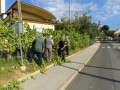 Prostovoljna akcija vinogradnikov pri vinski kleti