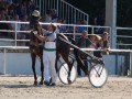 XXVI. slovenski kasaški Derby