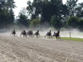 XXVI. slovenski kasaški Derby