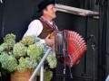 5. Folklorni festival Prlekije