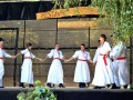 5. Folklorni festival Prlekije