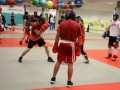 Kickboxing klub Pomurje