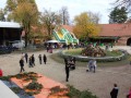 Ples - noč čarovnic 2016
