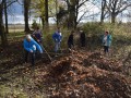 Akcija »Listje 2016« na Petanjcih