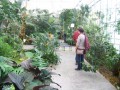 Dan odprtih vrat v Tropskem vrtu