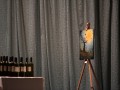 Dobrodelni koncert za Žana