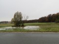 Narasle vode v Prlekiji