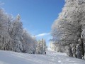 Zimska idila na Pohorju