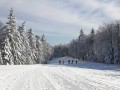 Zimska idila na Pohorju