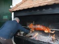 10. Štefanova trgatev
