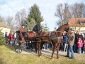 Blagoslov konjev v Veržeju