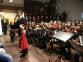 Božično-novoletni koncert GŠ Gornja Radgona